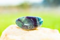 Aquamarine and purple colors Flourite Crystal Gem Polished